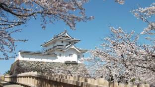 travel inn kofu