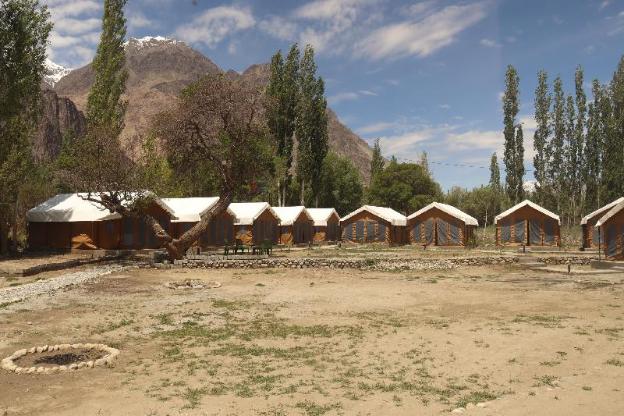 ldazes camp