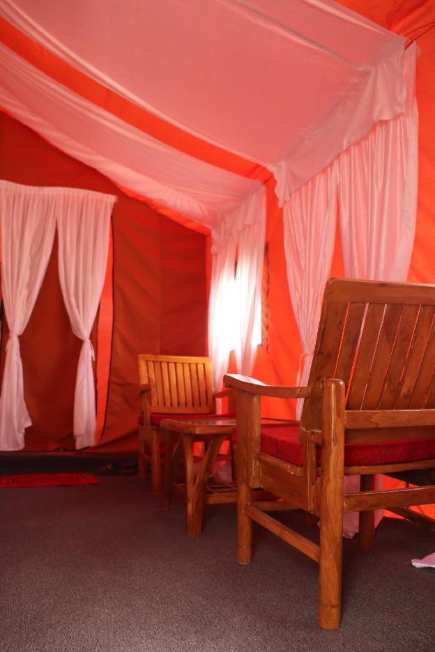 ldazes camp