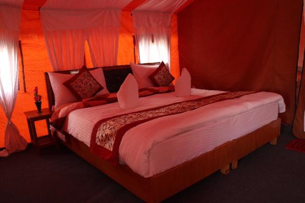 ldazes camp