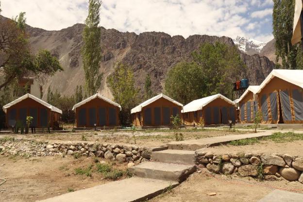 ldazes camp