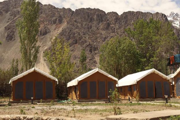 ldazes camp