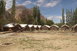 ldazes camp