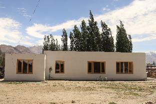 ldazes camp
