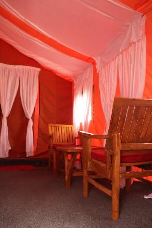 ldazes camp