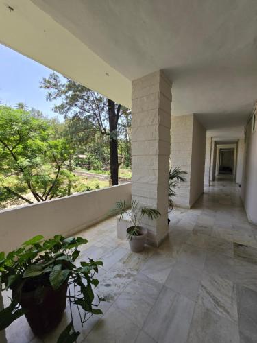 ramma thehotel nakki lake 200mtr