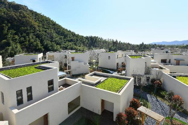 blossom house changxing yishui