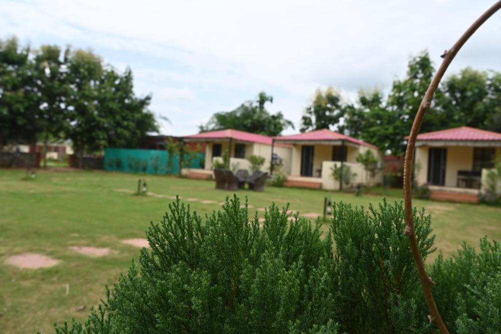 ranthambore jungle home