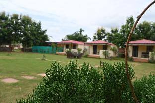 ranthambore jungle home