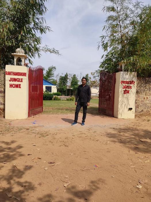ranthambore jungle home