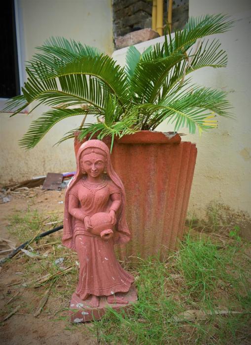 ranthambore jungle home