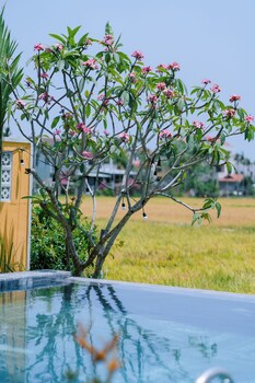 b s jade home hoi an