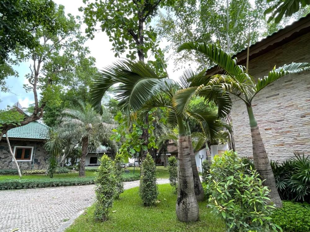 green tree resort