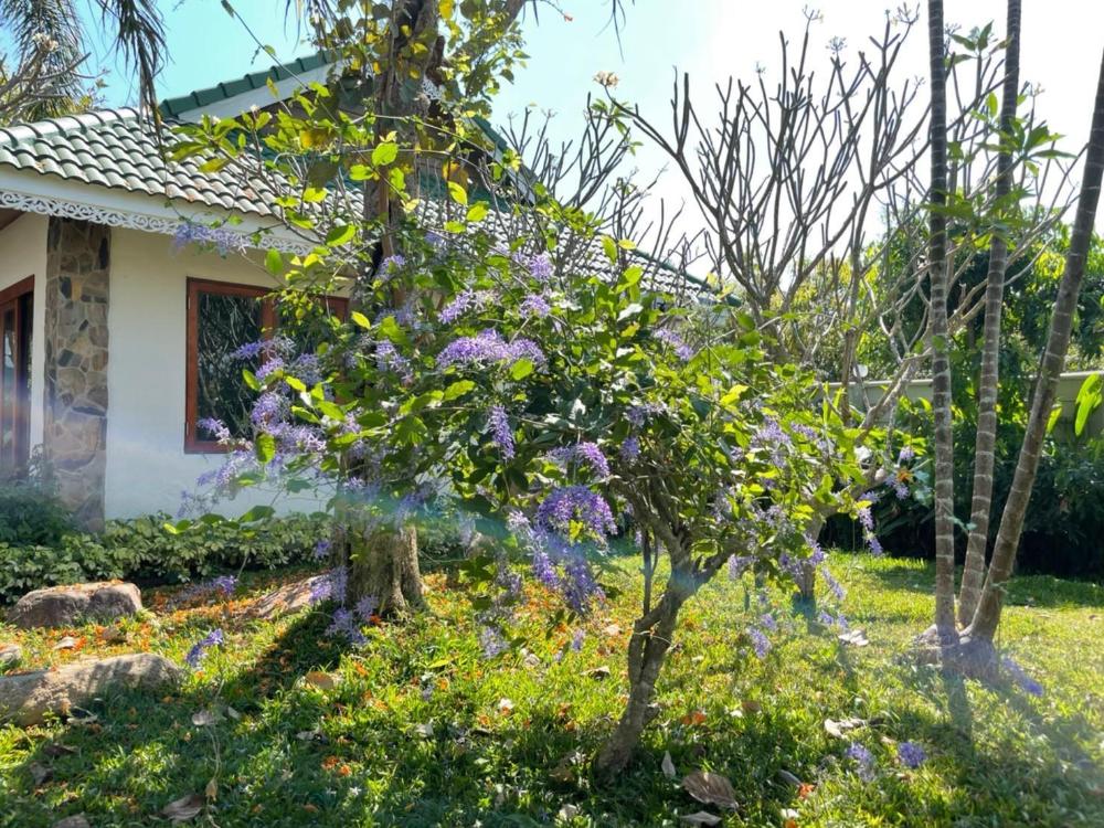 green tree resort