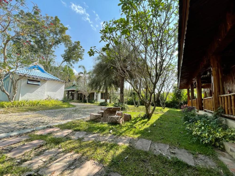 green tree resort