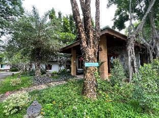 green tree resort