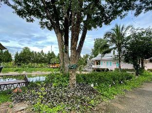 green tree resort