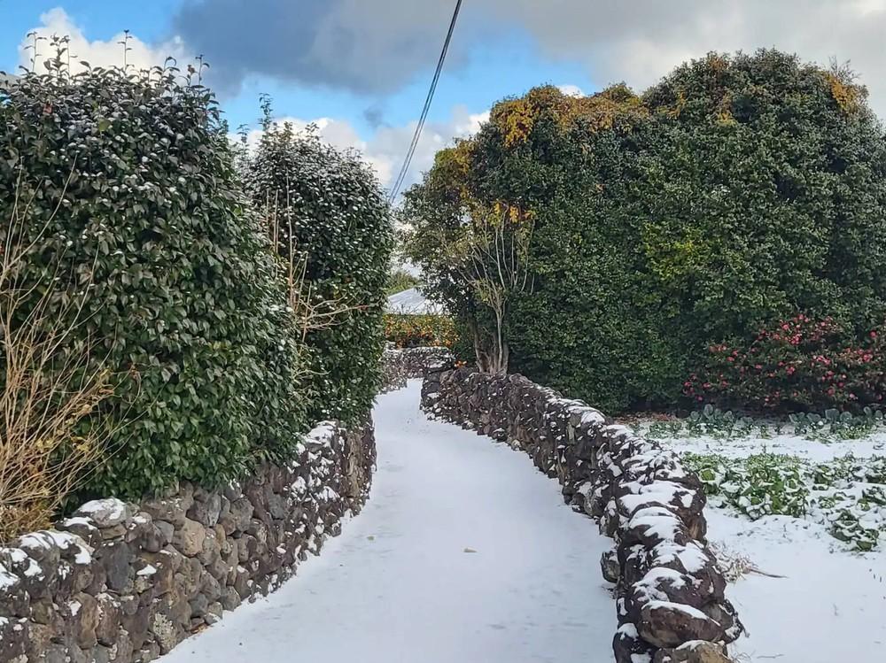 jeju ya aewol dokchae stay