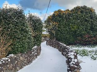 jeju ya aewol dokchae stay