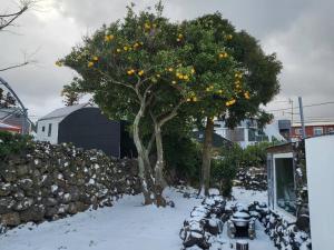 jeju ya aewol dokchae stay