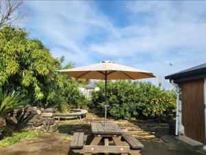 jeju ya aewol dokchae stay