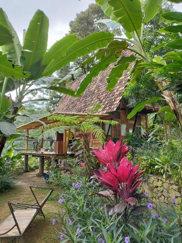 omah hanoman turu by kebun hanoman