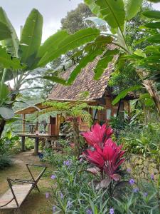 omah hanoman turu by kebun hanoman