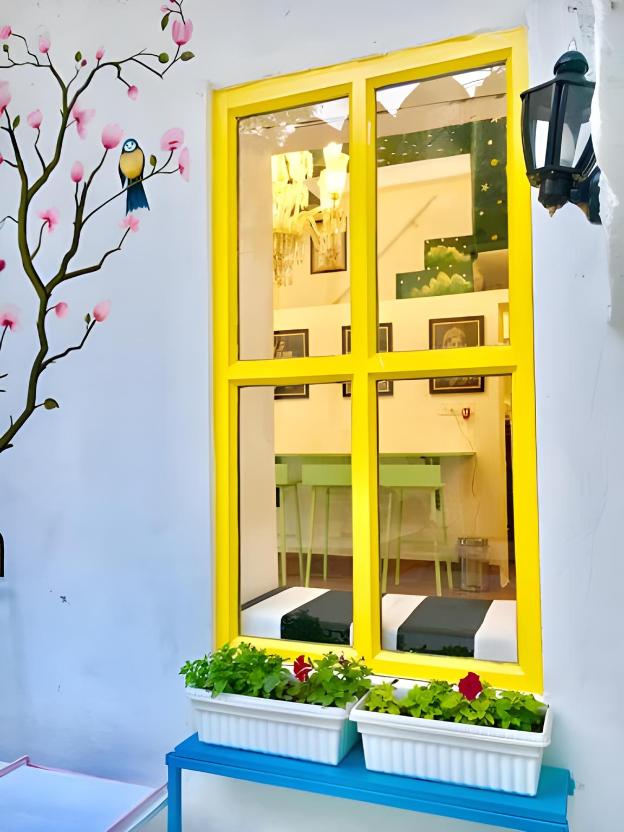 paddys loft the lake view hostel