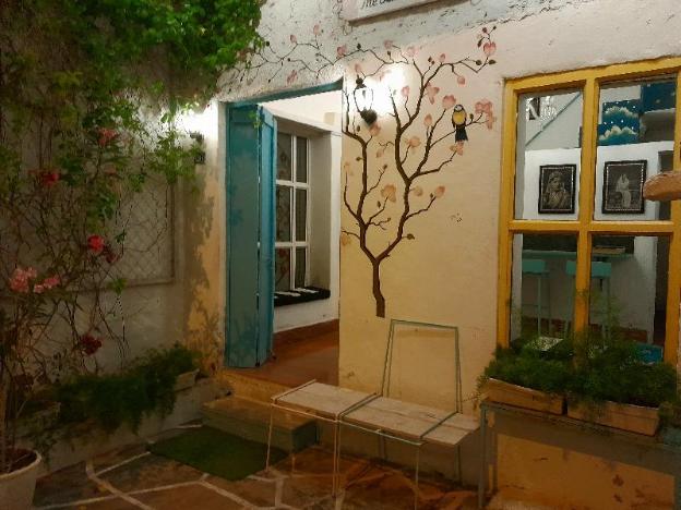 paddys loft the lake view hostel