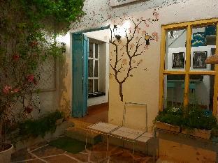 paddys loft the lake view hostel