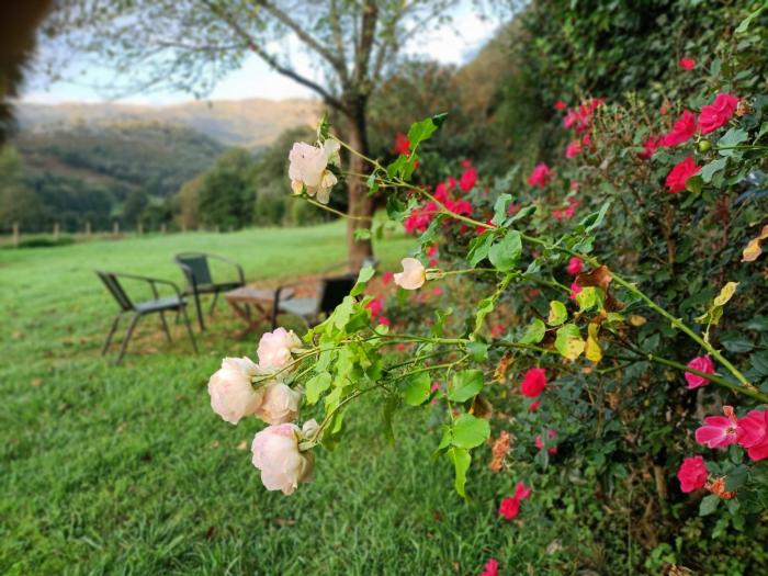 hotel casona villa de palacios