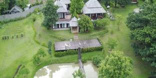 pai woodland
