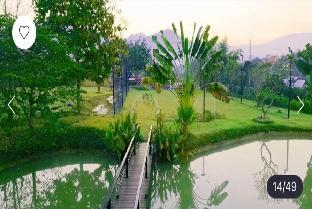 pai woodland