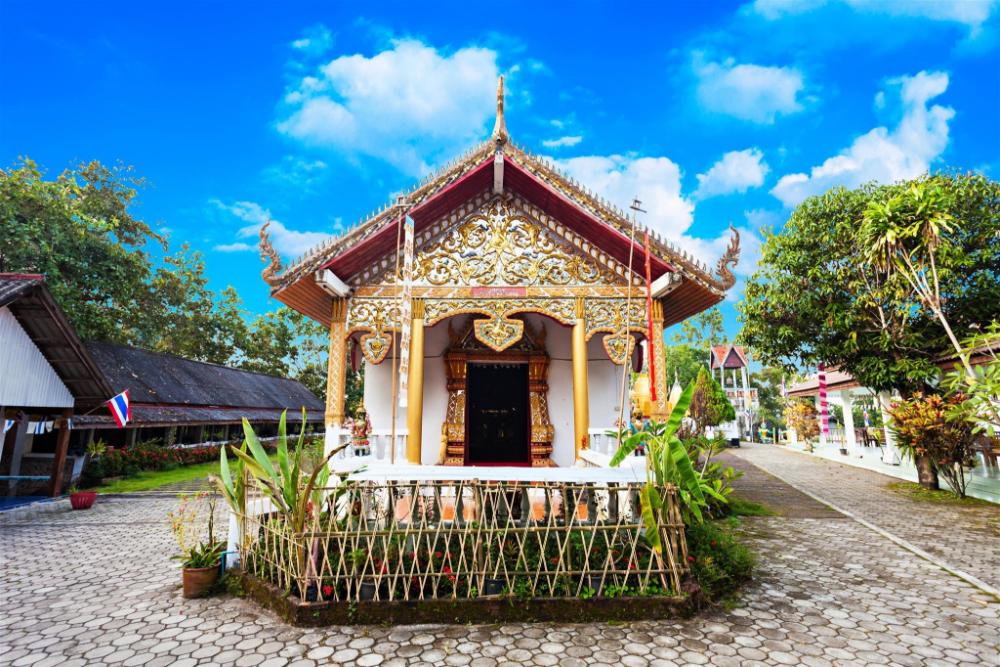 pai woodland