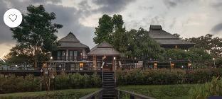 pai woodland