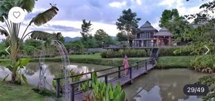 pai woodland
