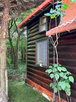 tartaruga motel agva