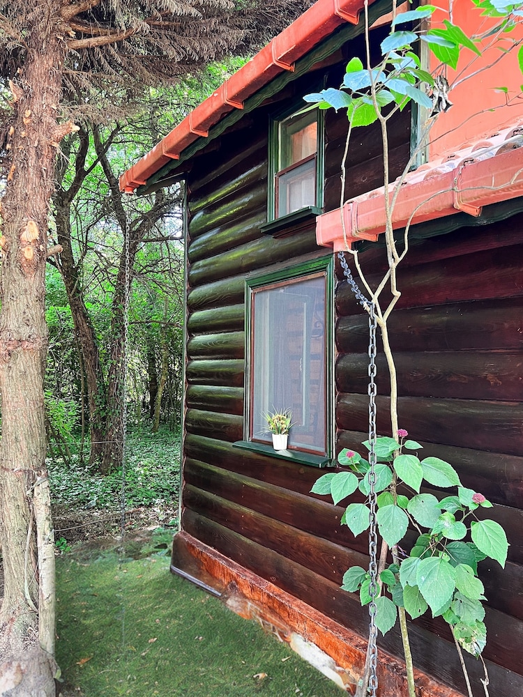 tartaruga motel agva