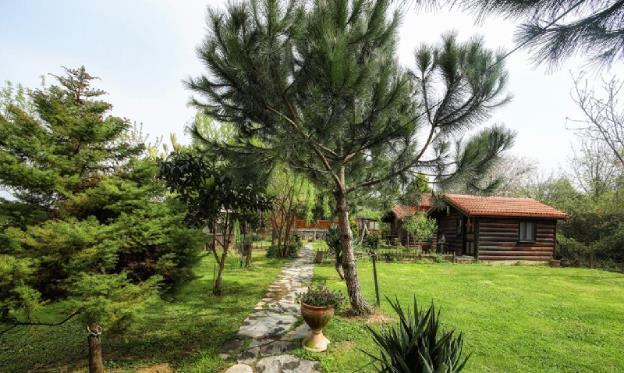 tartaruga motel agva