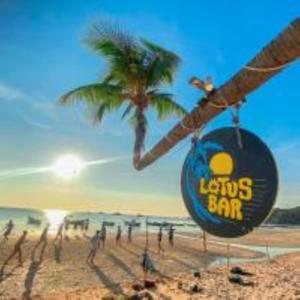 lotus hostel beach bar koh tao