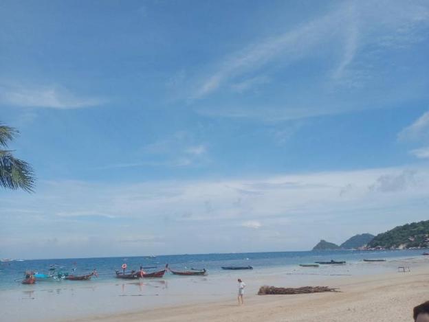 lotus hostel beach bar koh tao