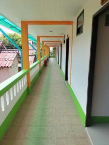 lotus hostel beach bar koh tao