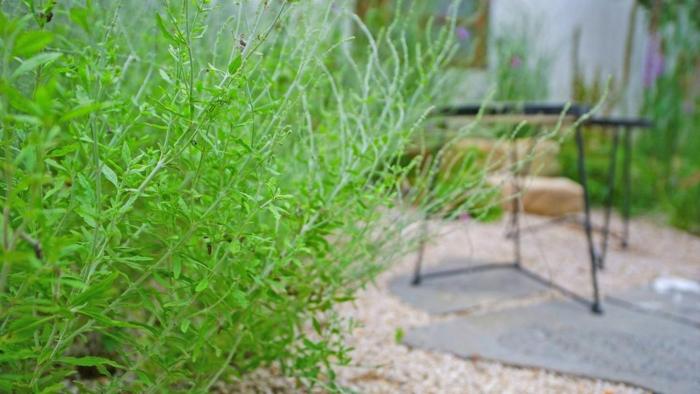 jeonju hanok village seohak eui achim pension