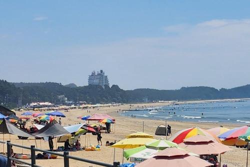taean gun