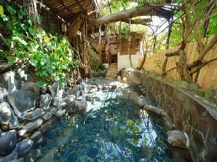 izu atagawa onsen miharuya