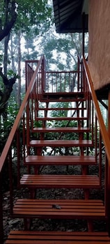 thennal jungle camp pvt ltd