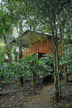 thennal jungle camp pvt ltd