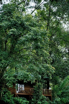 thennal jungle camp pvt ltd