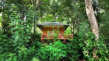 thennal jungle camp pvt ltd