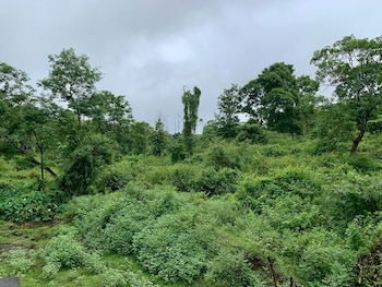 thennal jungle camp pvt ltd